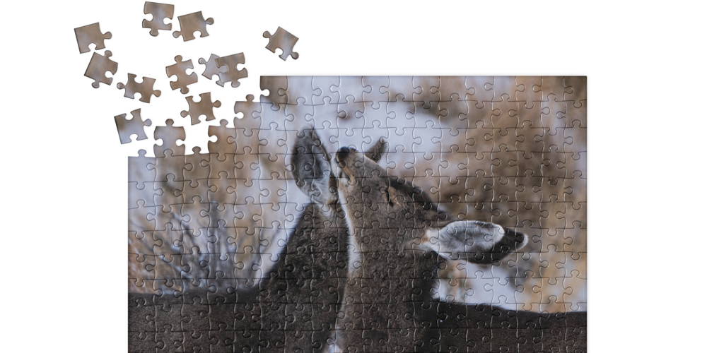 Winter Collection Jigsaw Puzzle