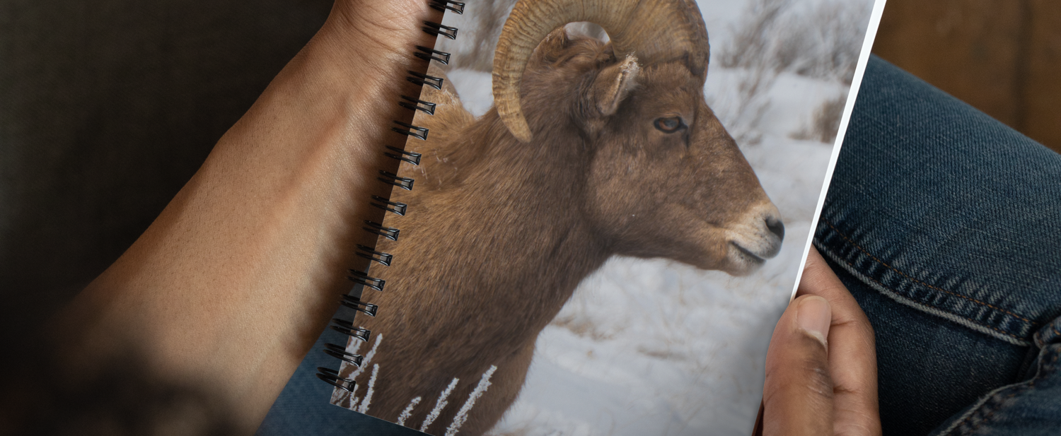 Winter Collection Notebook