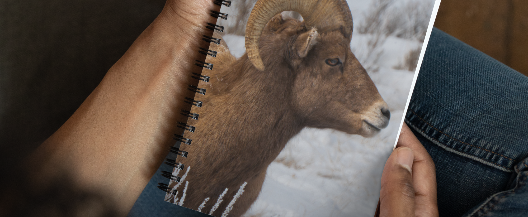 Winter Collection Notebook