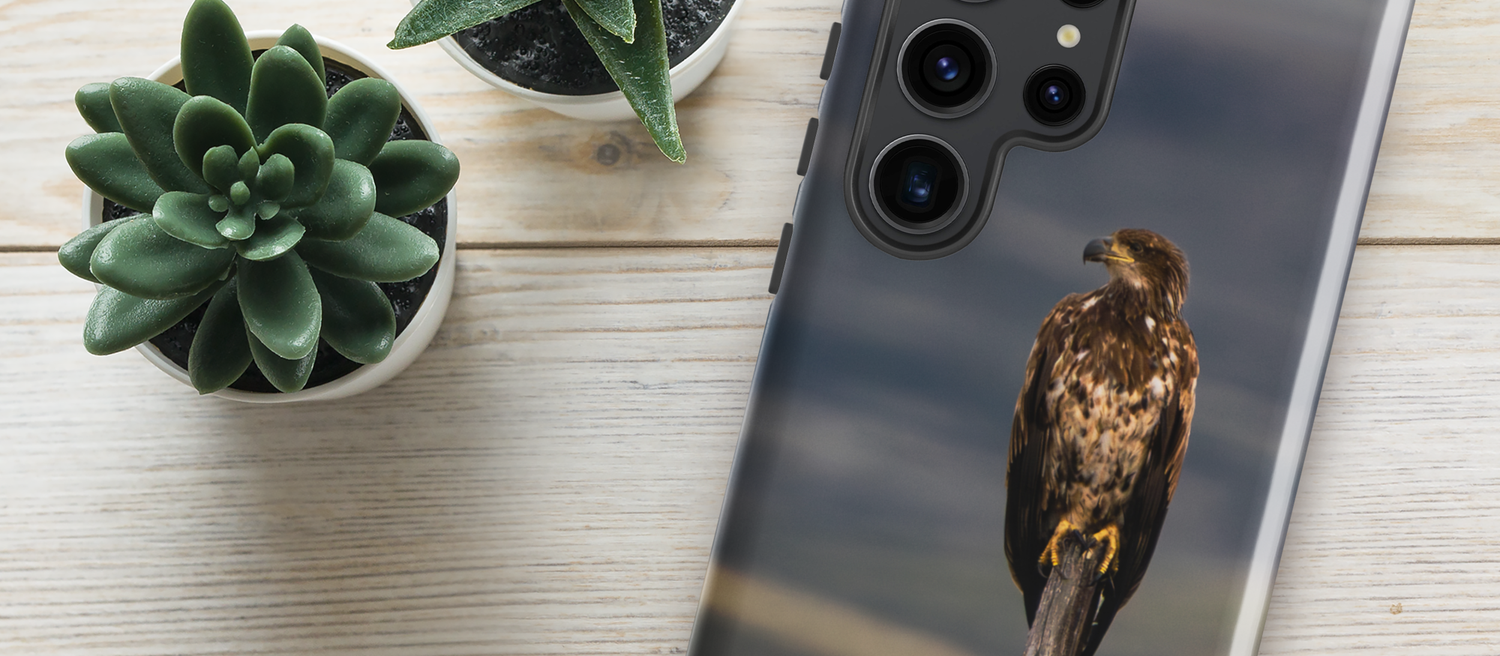 Spring Samsung Tough Case