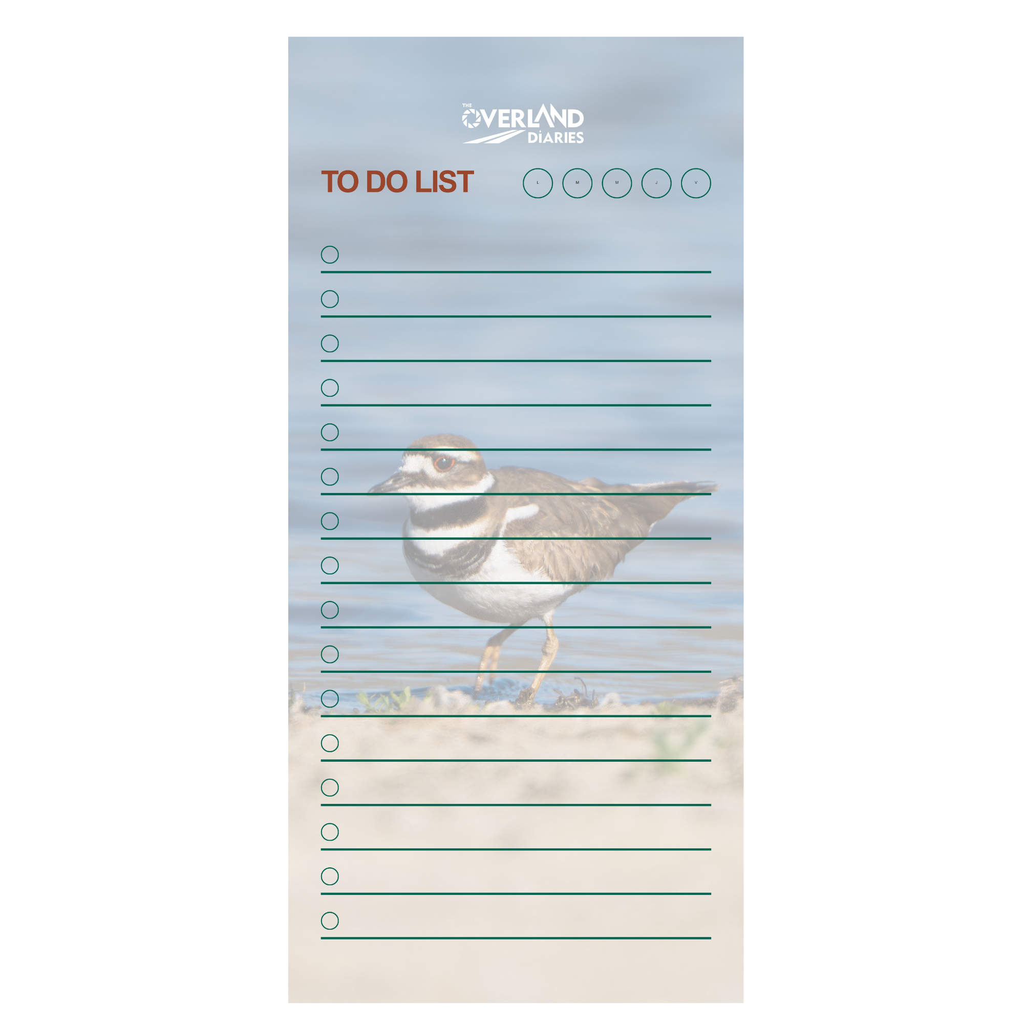 Scurrying Killdeer Notepad