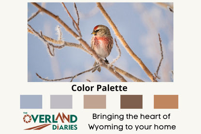 Winter Wonder: Common Redpoll Wall Art to Brighten Your Home