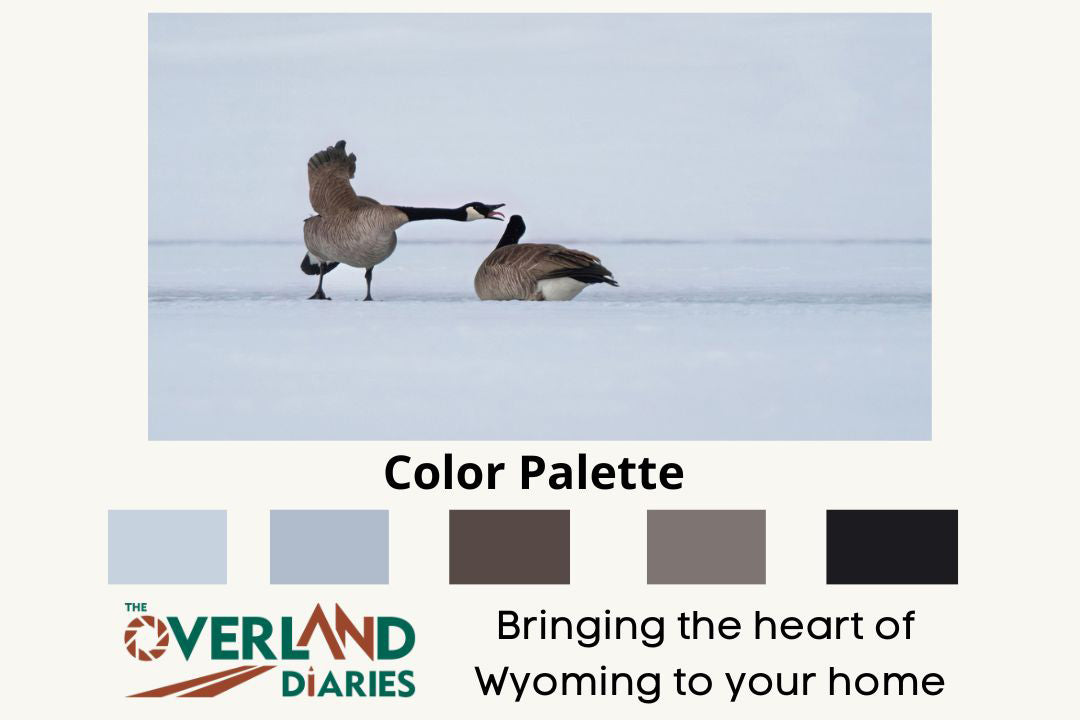 Bring Wyoming’s Wild Beauty Home with Canada Geese Wall Art