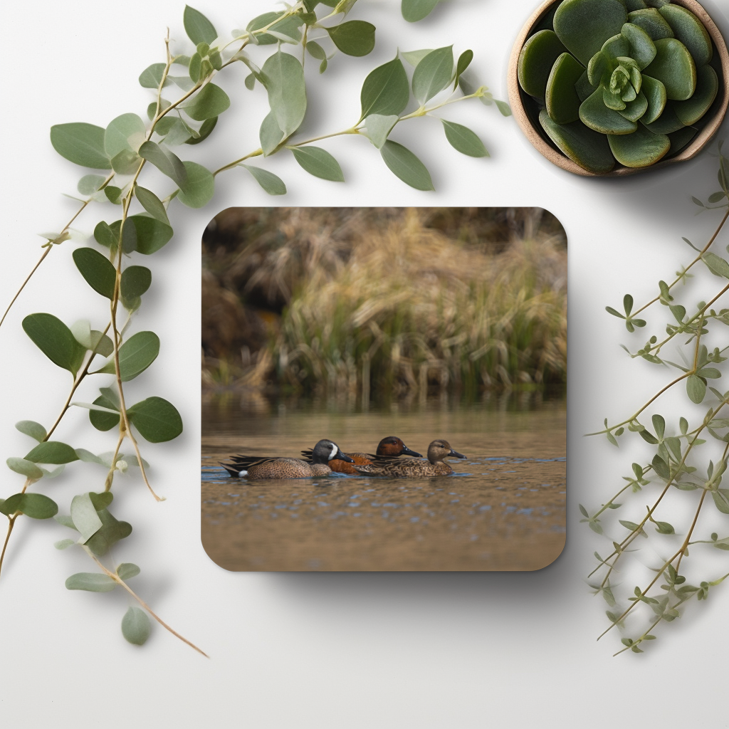 Ducks Cork-back coaster