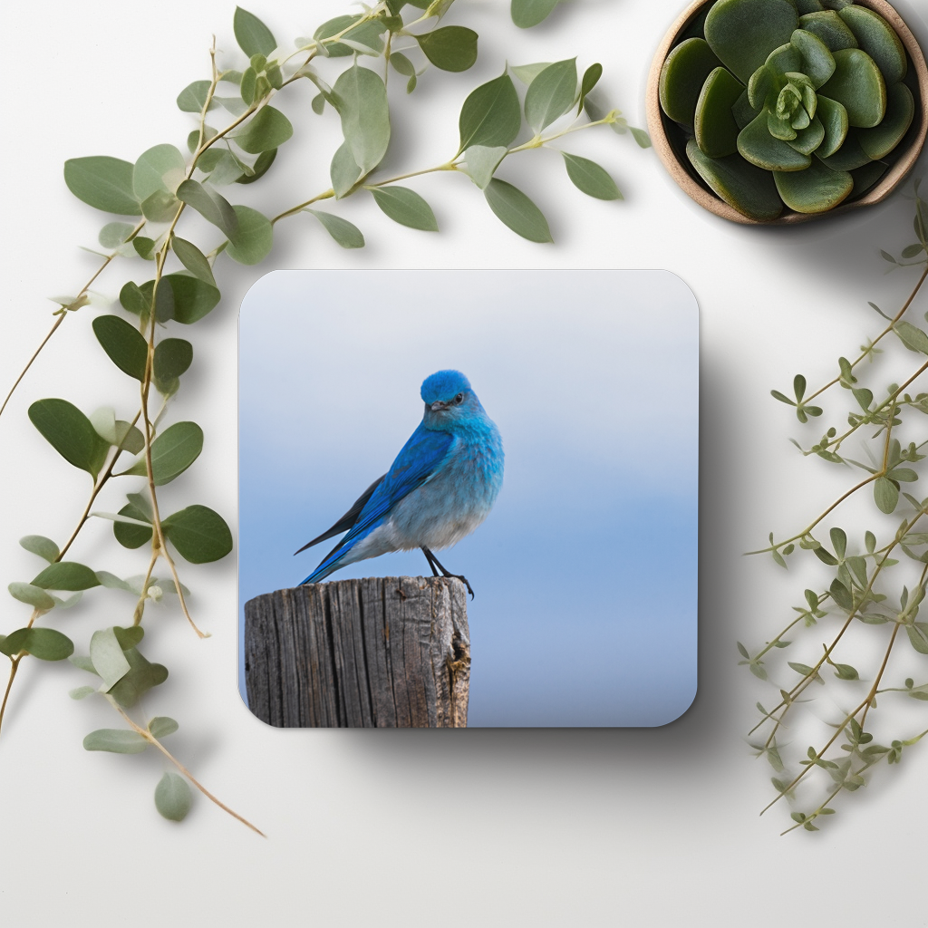 Mountain Bluebird Cork-back coaster