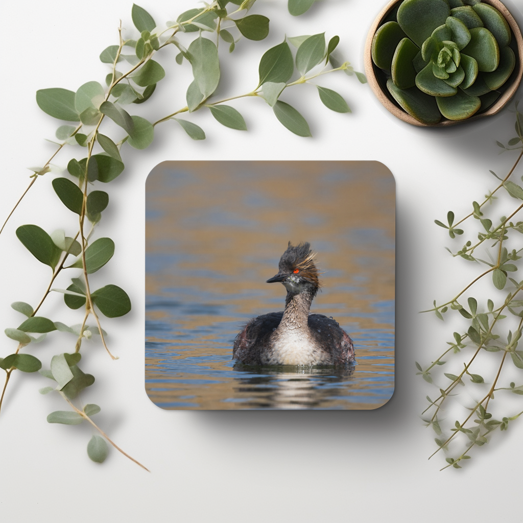 Eared Grebe Cork-back coaster