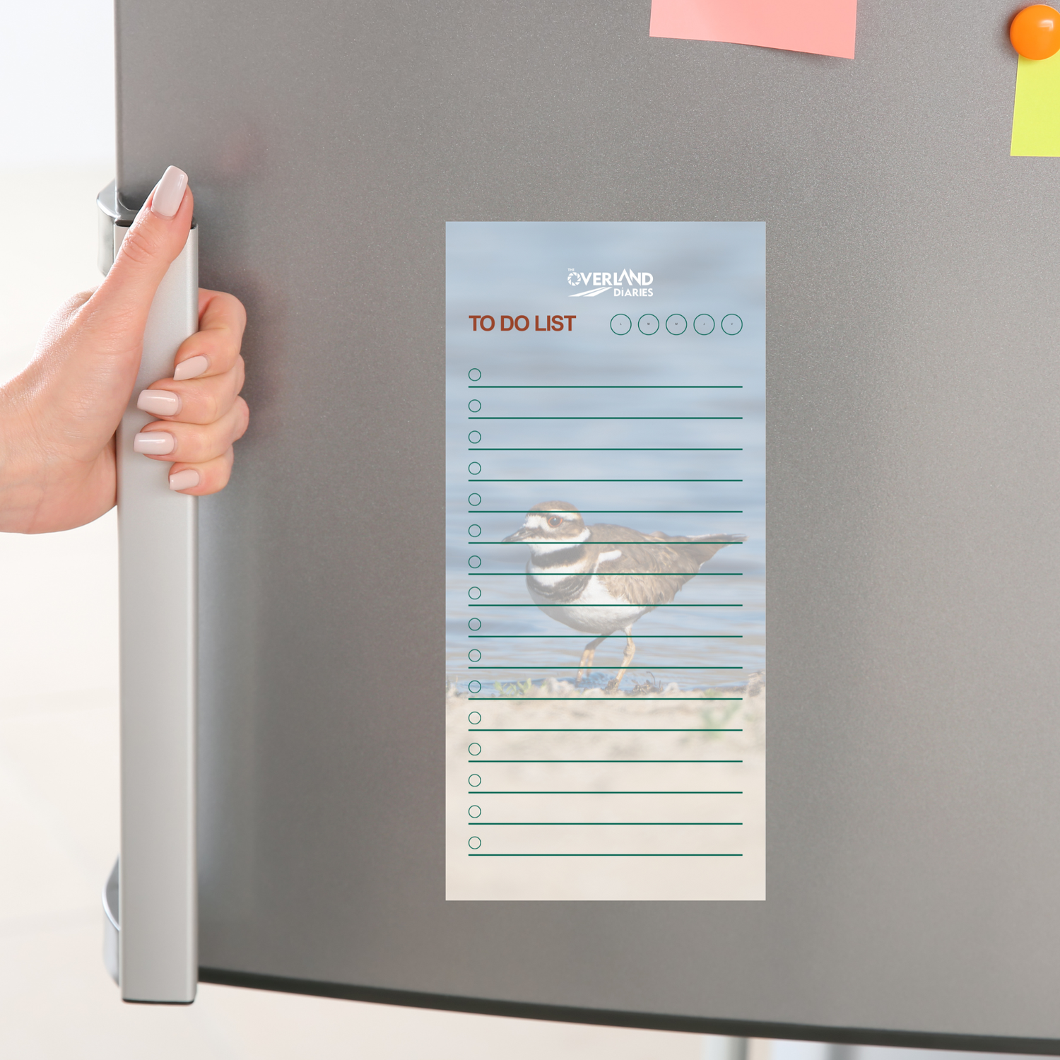 Scurrying Killdeer Notepad