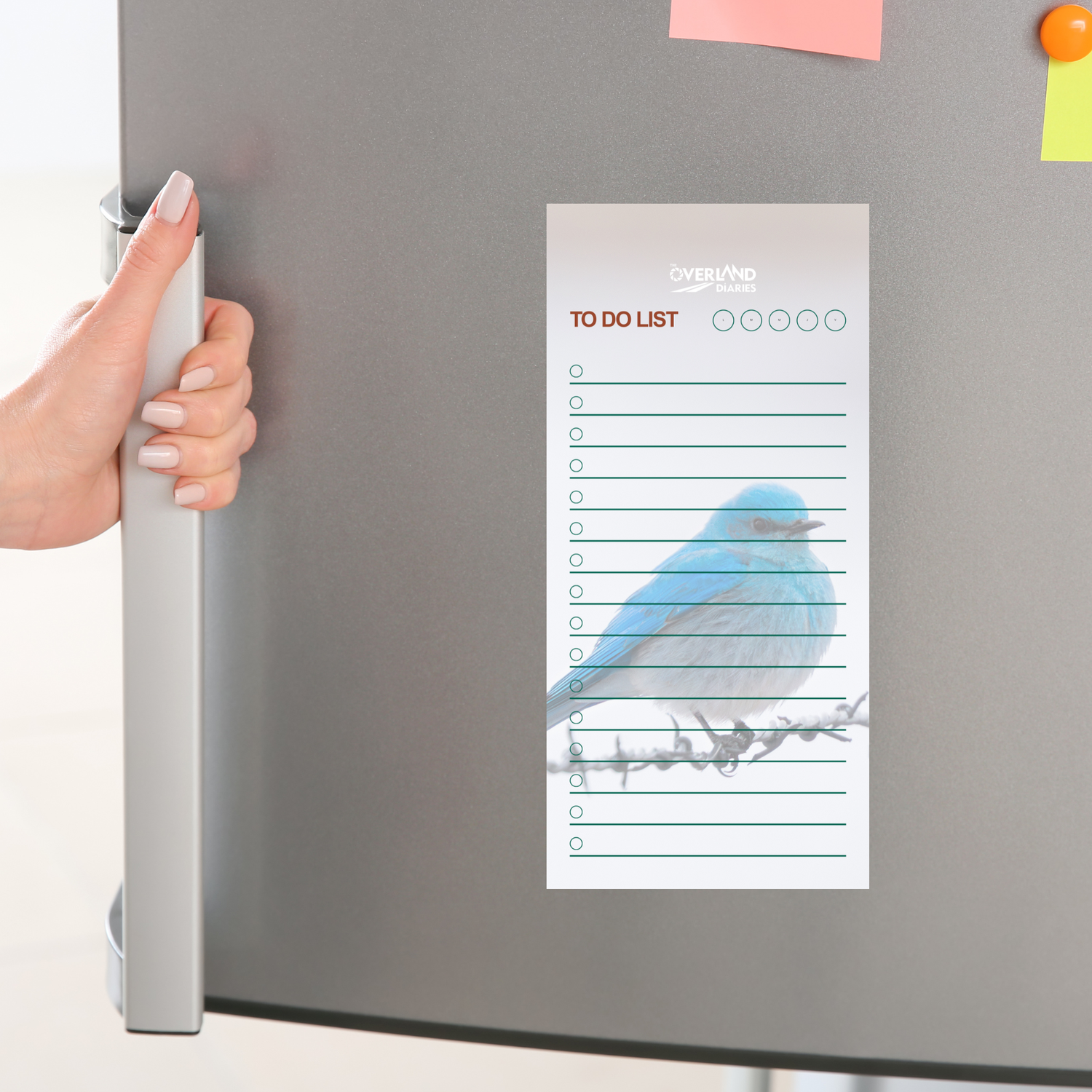 Mountain Bluebird Notepad · Wyoming Spring