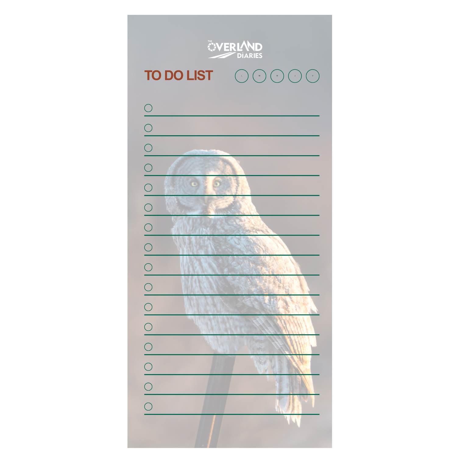 Owl at Dawn Notepad