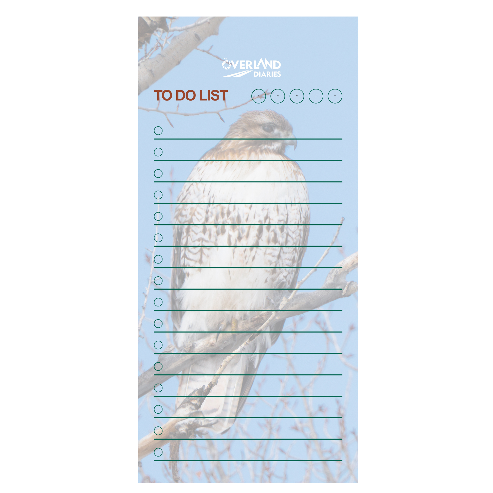Red-Tail Hawk Notepad · Wyoming Wilderness