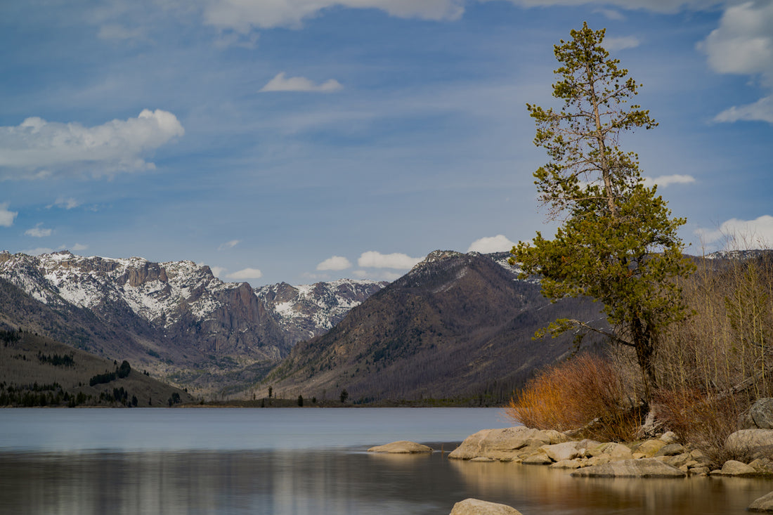 New Fork Lake Wall Art