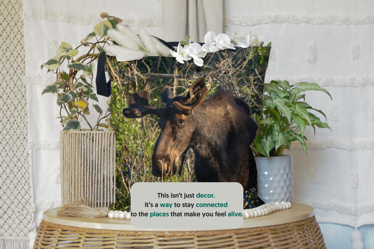 Load video: Wild Home Decor