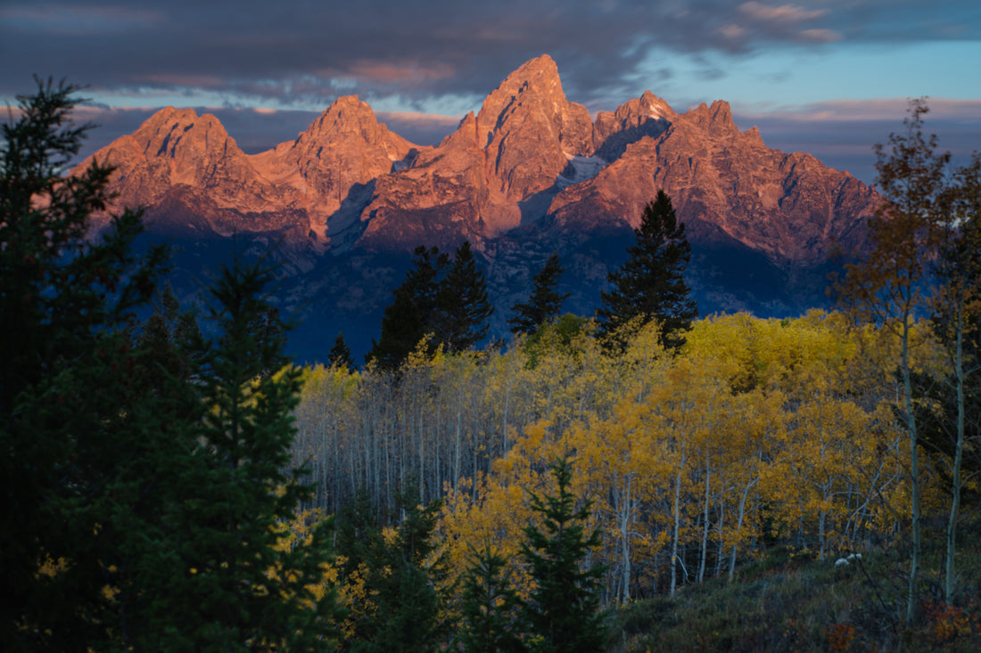 Where Heaven Touched the Tetons