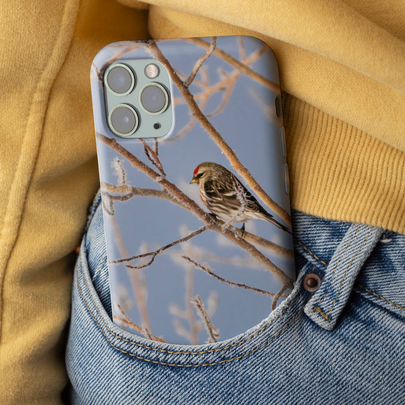 Common Redpoll Tough Case for iPhone®