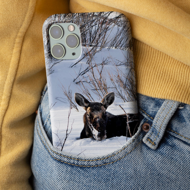 Moose Laying in the Snow Tough Case for iPhone®