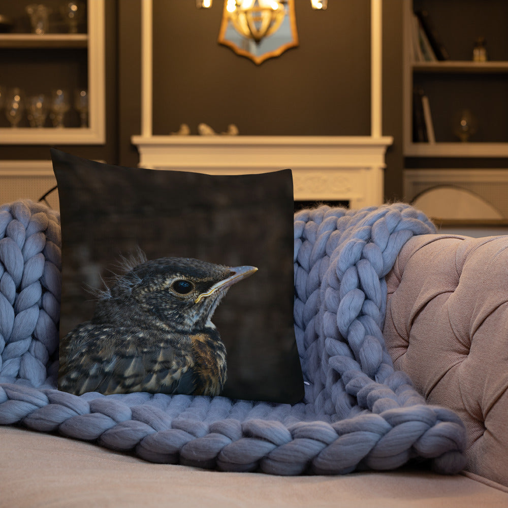 Baby Robin Premium Pillow