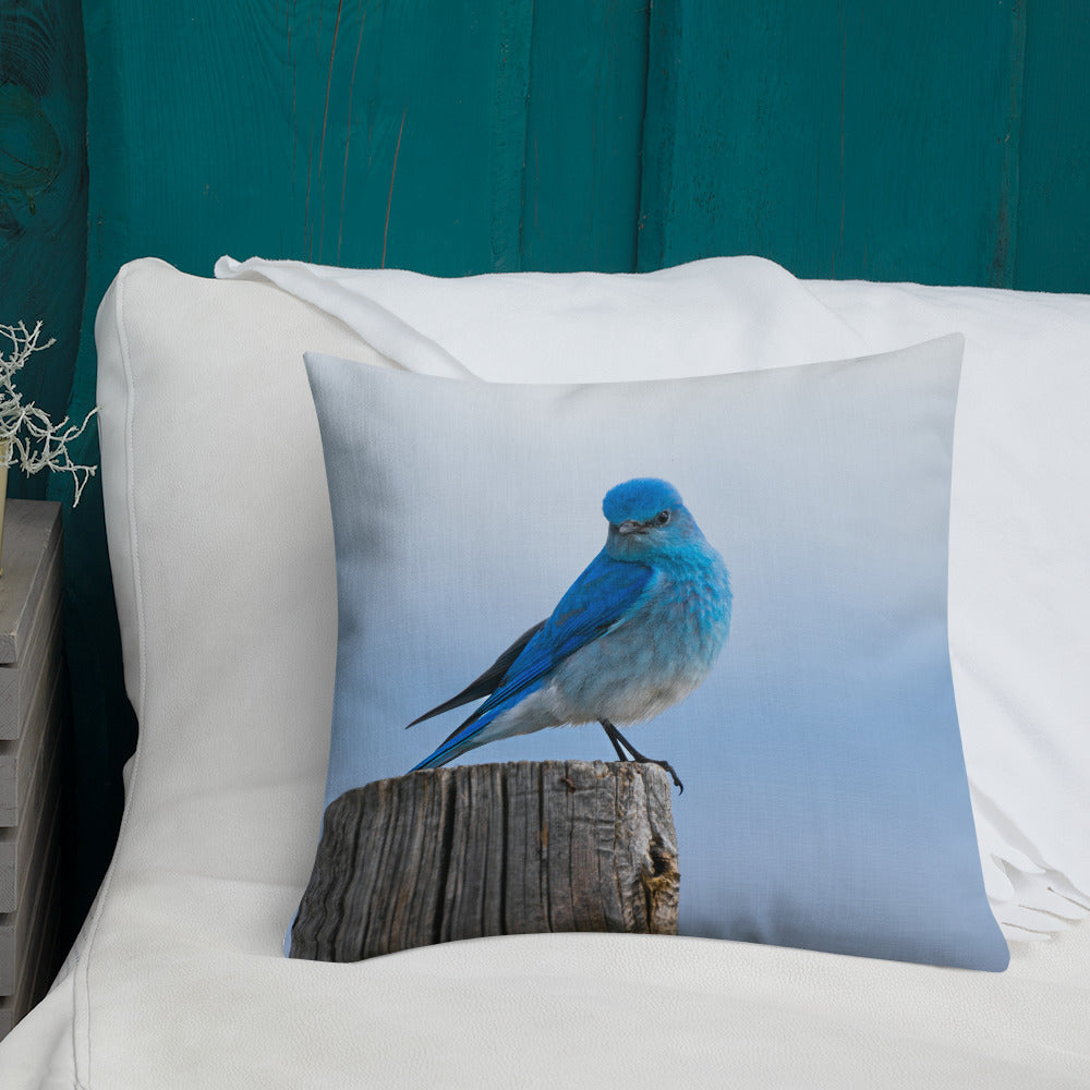 Mountain Bluebird Premium Pillow