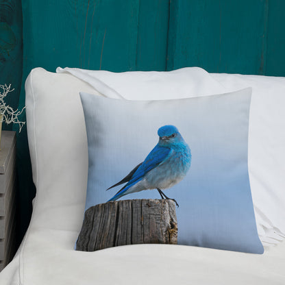 Mountain Bluebird Premium Pillow