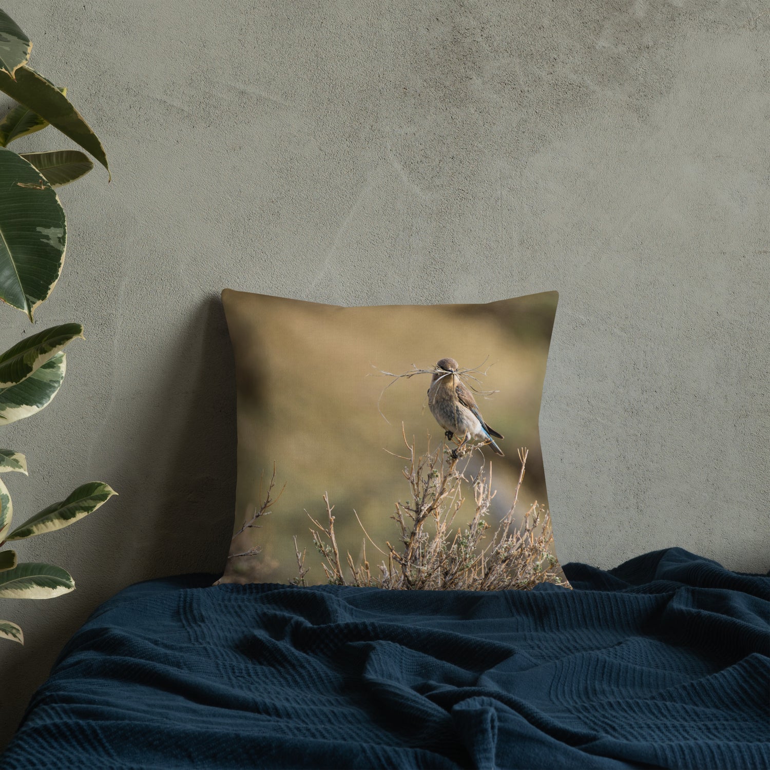 Female Mountain Bluebird Premium Pillow