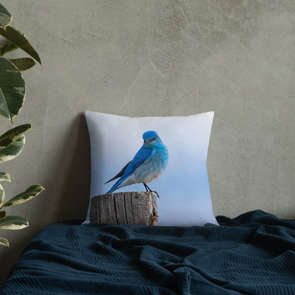 Mountain Bluebird Premium Pillow