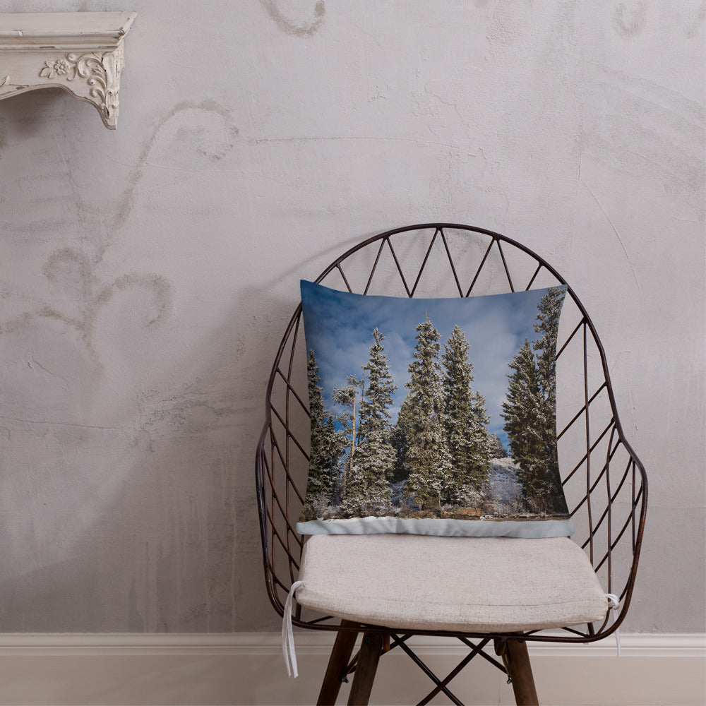 Celebrate the Quiet Majesty of Wyoming’s Winter Landscapes with Our Pillow Collection