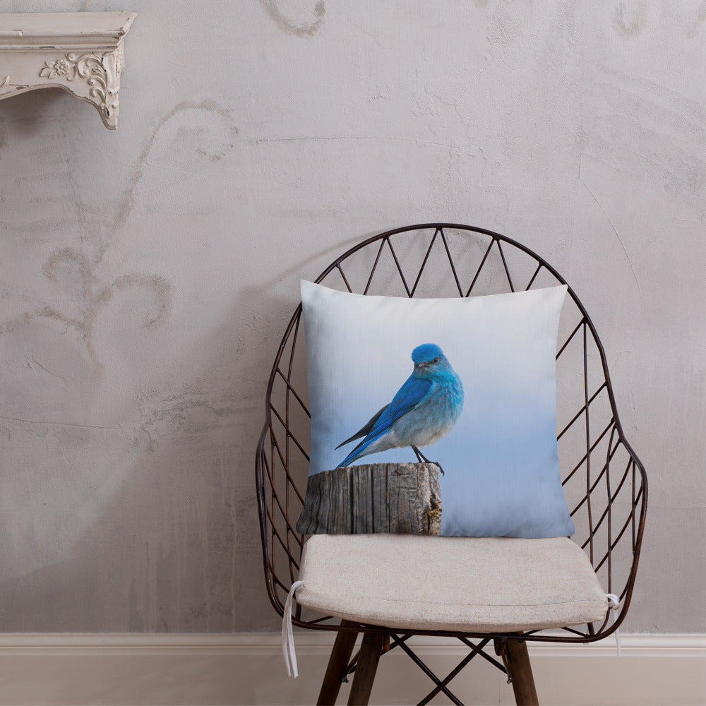 Mountain Bluebird Premium Pillow