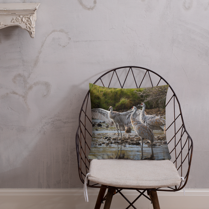 Sandhill Cranes Decorative Pillow | A Gift Before Goodbye