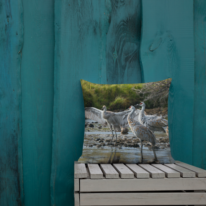 Sandhill Cranes Decorative Pillow | A Gift Before Goodbye