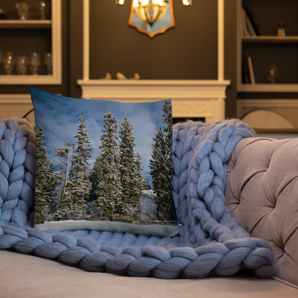 Celebrate the Quiet Majesty of Wyoming’s Winter Landscapes with Our Pillow Collection