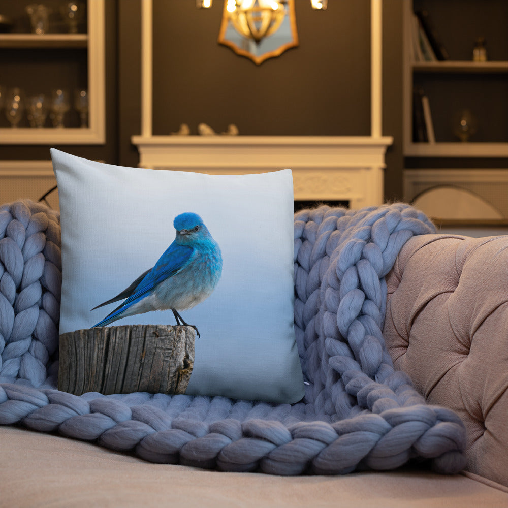 Mountain Bluebird Premium Pillow