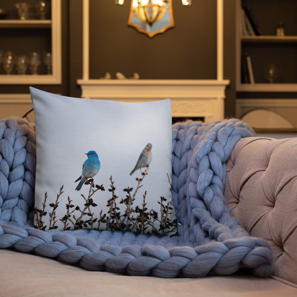 Couple of Mountain Bluebirds Premium Pillow