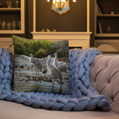 Sandhill Cranes Decorative Pillow | A Gift Before Goodbye