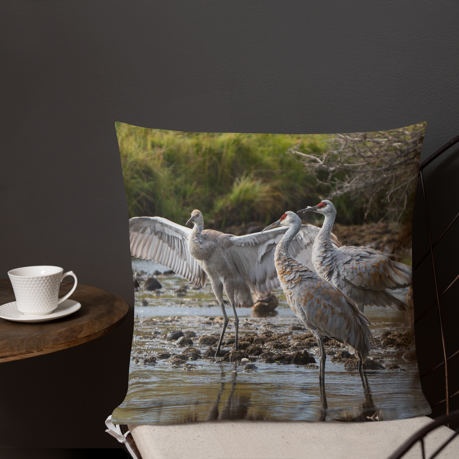 Sandhill Cranes Decorative Pillow | A Gift Before Goodbye