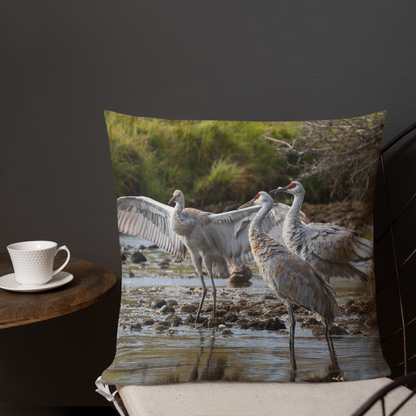 Sandhill Cranes Decorative Pillow | A Gift Before Goodbye