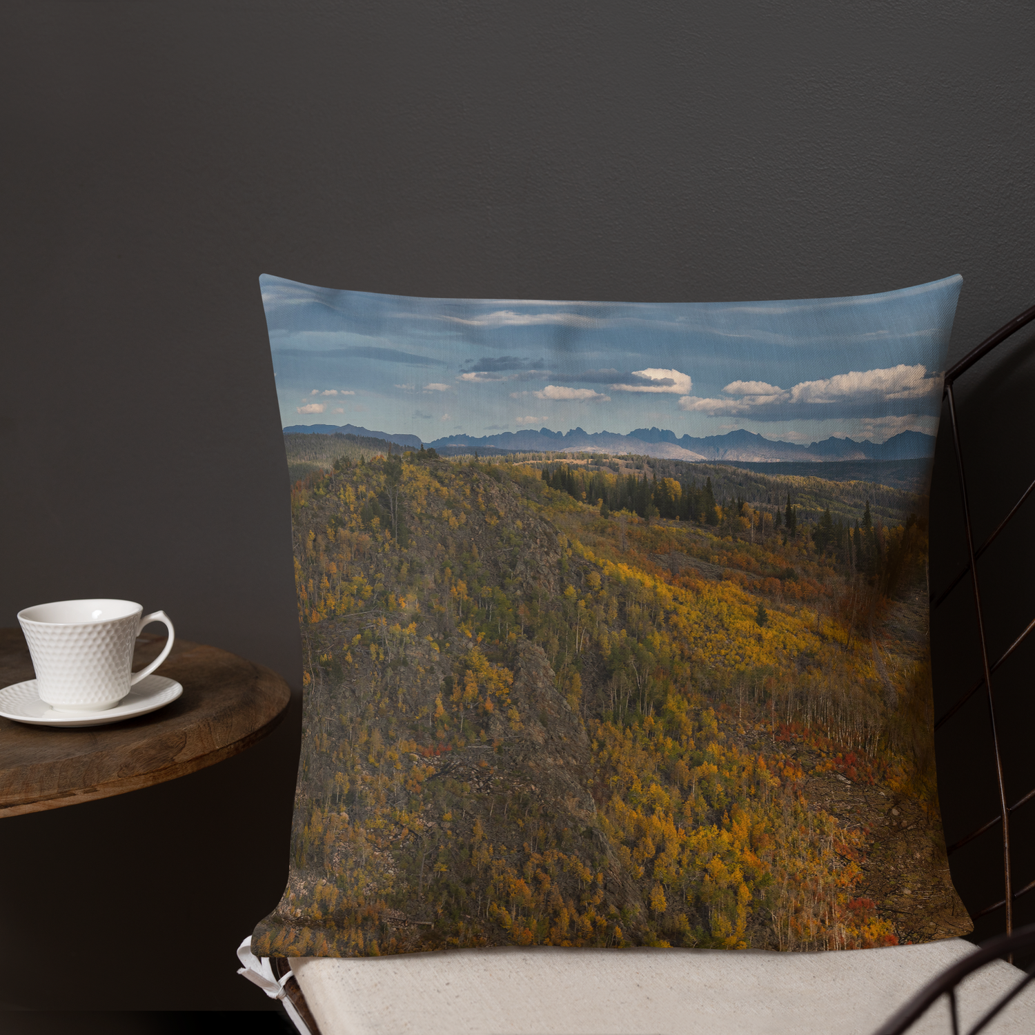 Wind River Range Decorative Pillow | A View That Changed Everything