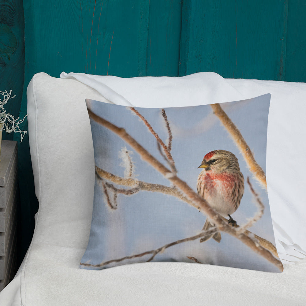 Common Redpoll Premium Pillow