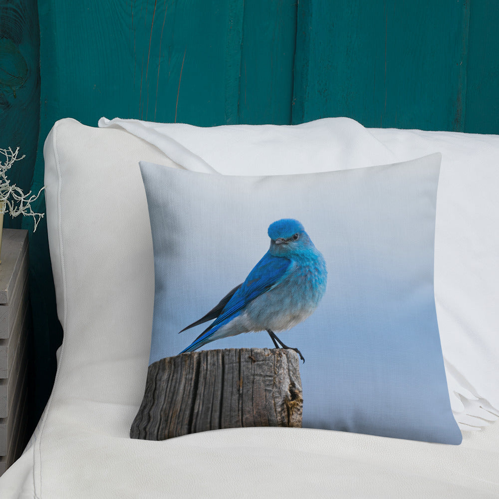 Mountain Bluebird Premium Pillow