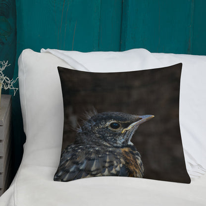 Baby Robin Premium Pillow