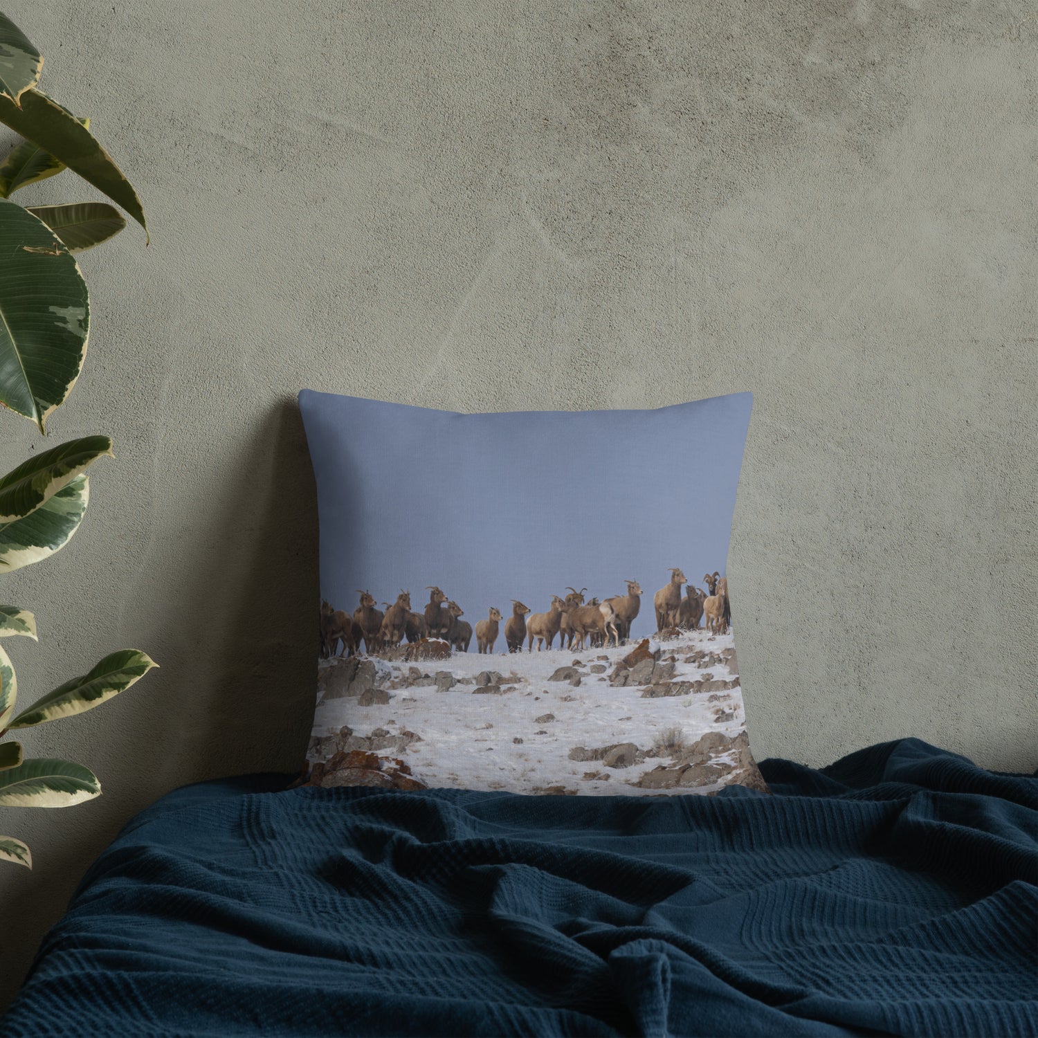 Bighorn Sheep Premium Pillow