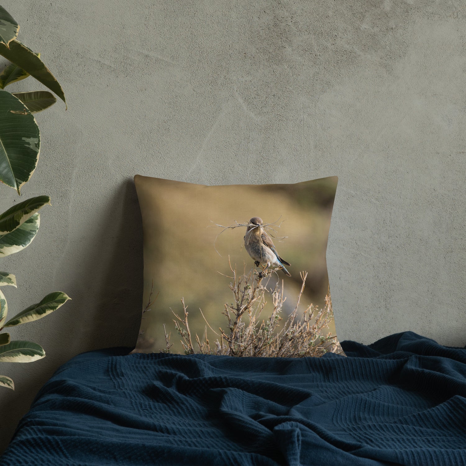 Female Mountain Bluebird Premium Pillow