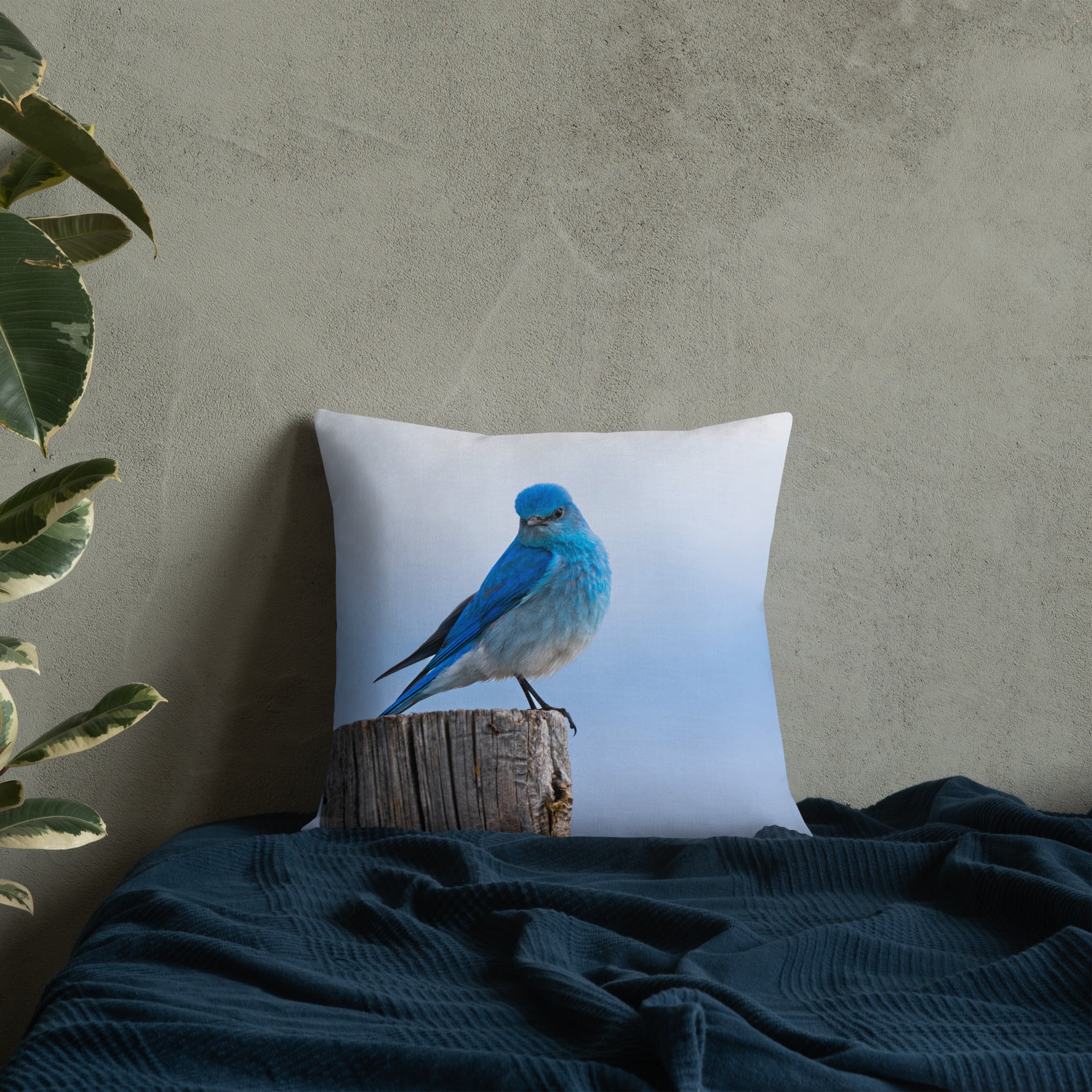 Mountain Bluebird Premium Pillow