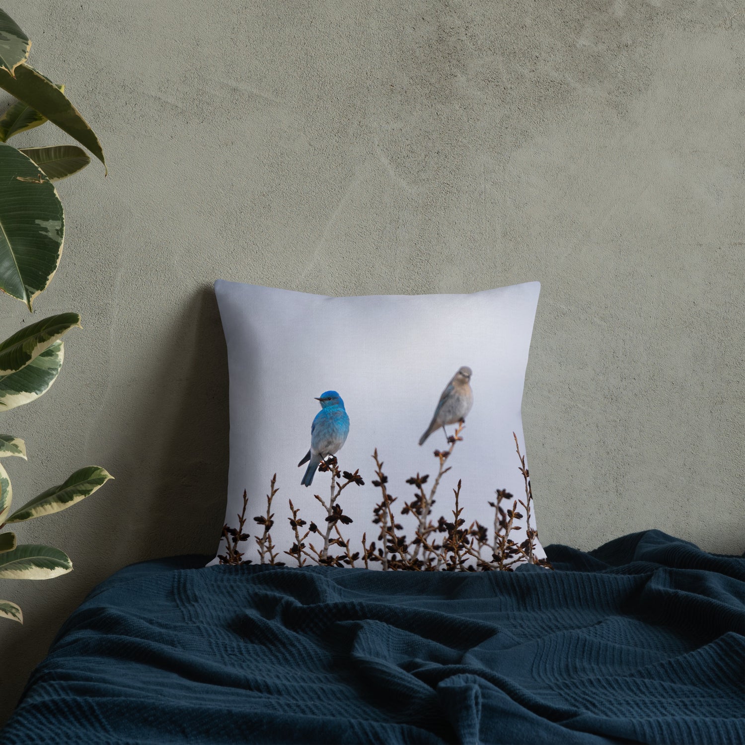 Couple of Mountain Bluebirds Premium Pillow