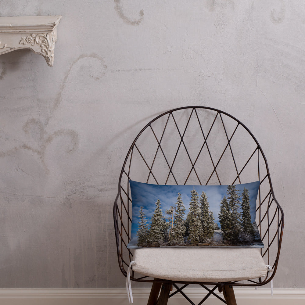 Celebrate the Quiet Majesty of Wyoming’s Winter Landscapes with Our Pillow Collection