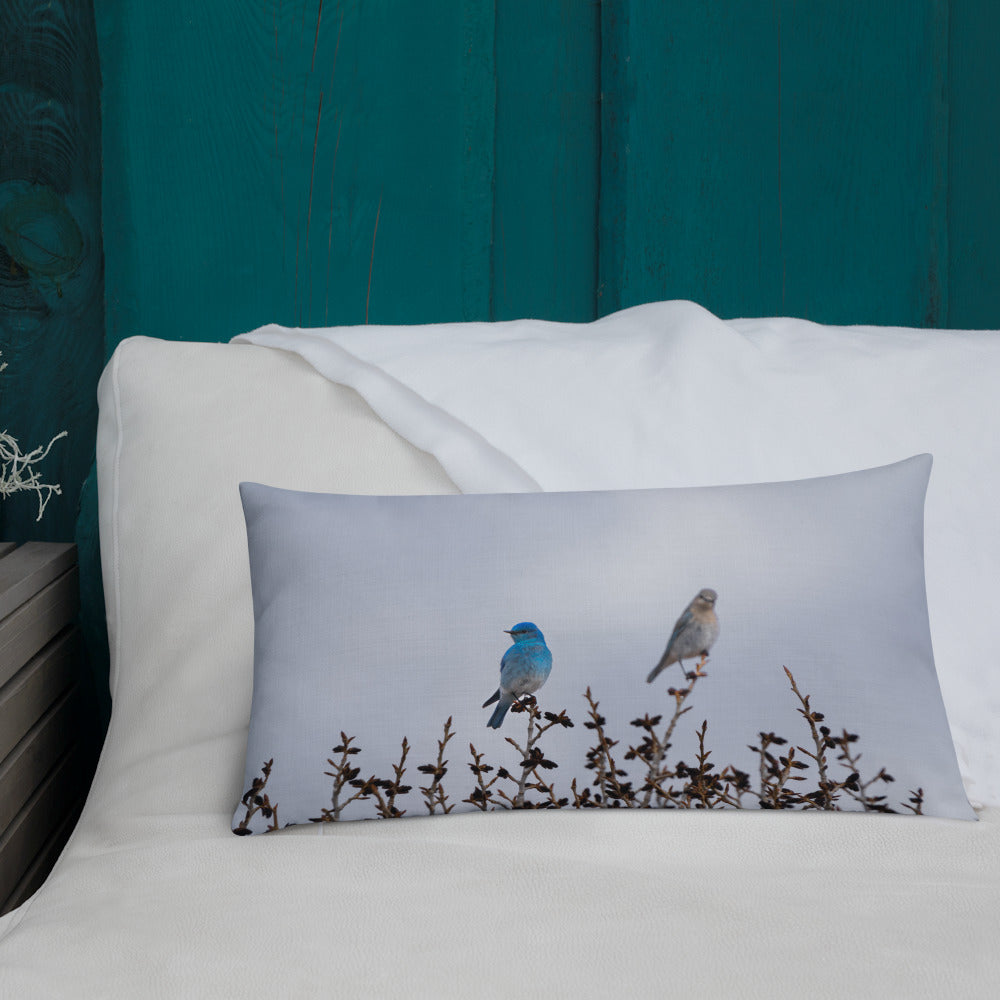 Couple of Mountain Bluebirds Premium Pillow