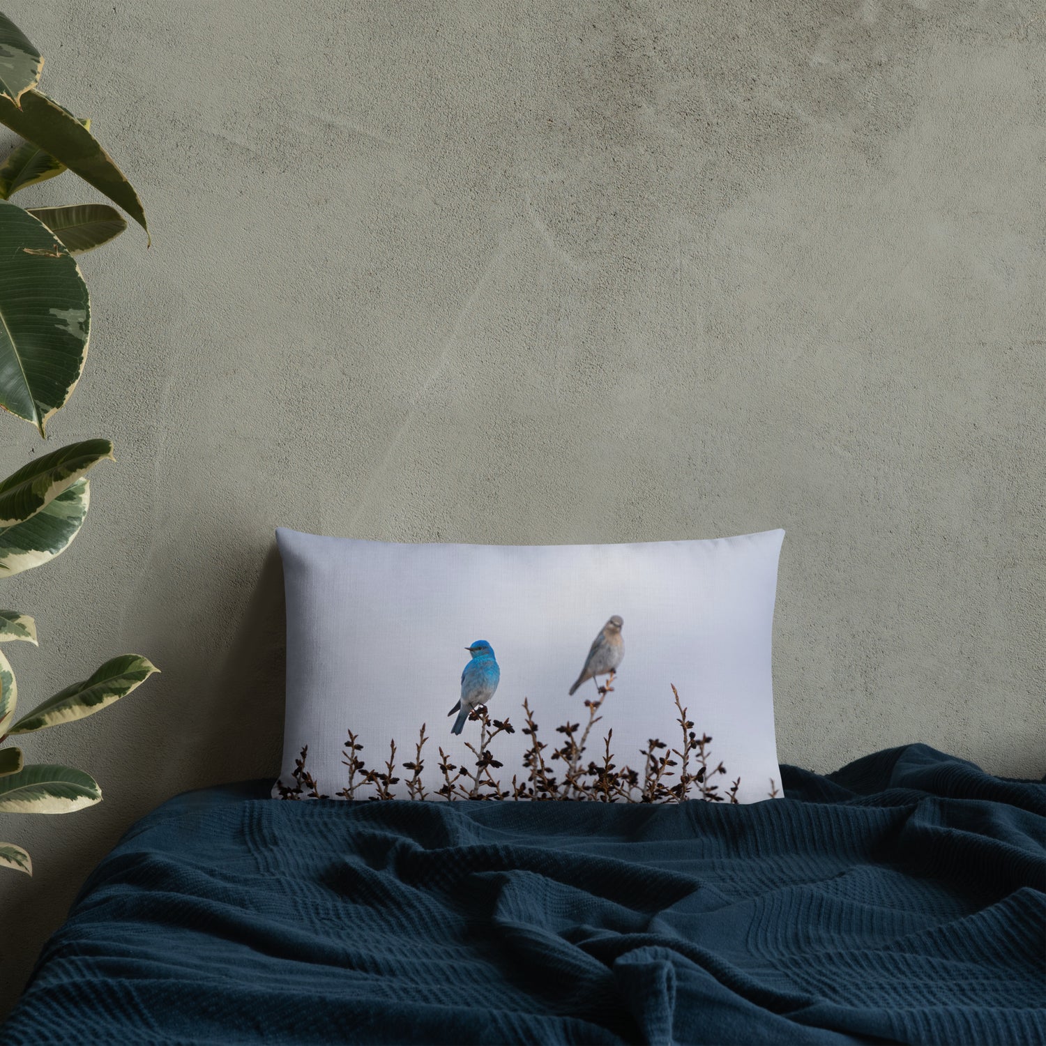 Couple of Mountain Bluebirds Premium Pillow