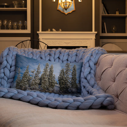 Celebrate the Quiet Majesty of Wyoming’s Winter Landscapes with Our Pillow Collection