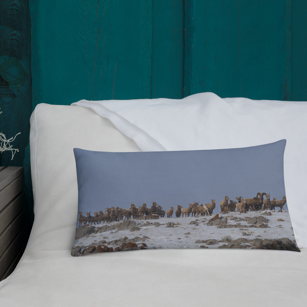 Bighorn Sheep Premium Pillow