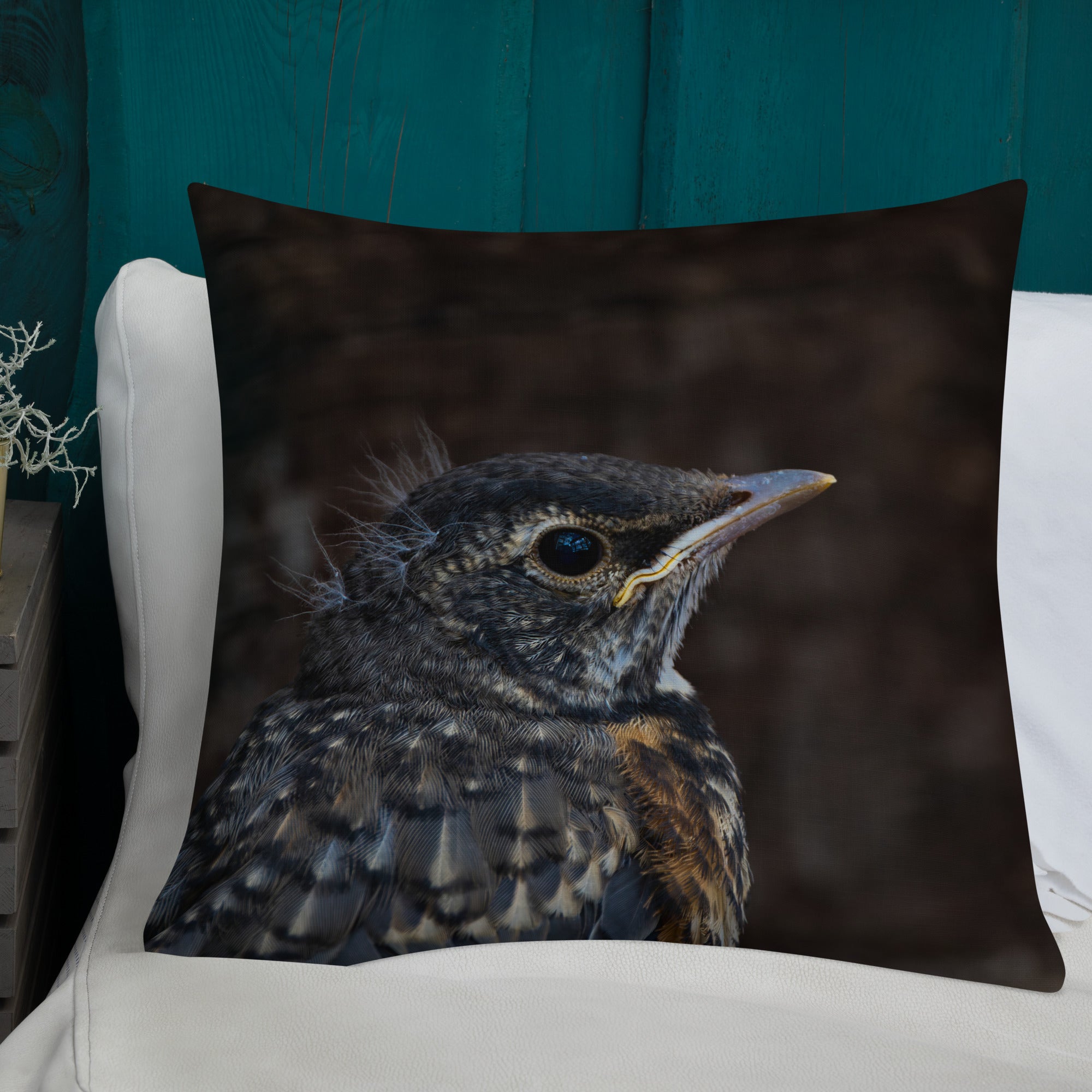 Baby Robin Premium Pillow