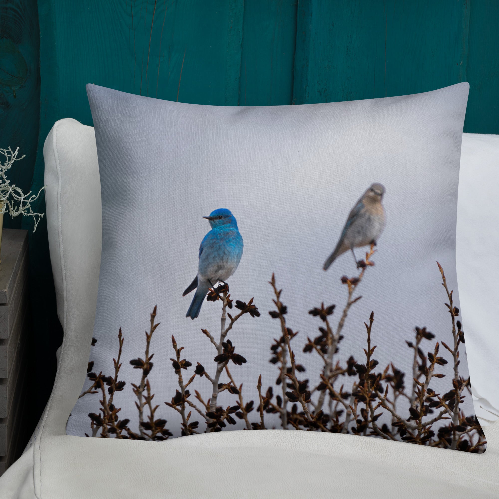 Couple of Mountain Bluebirds Premium Pillow