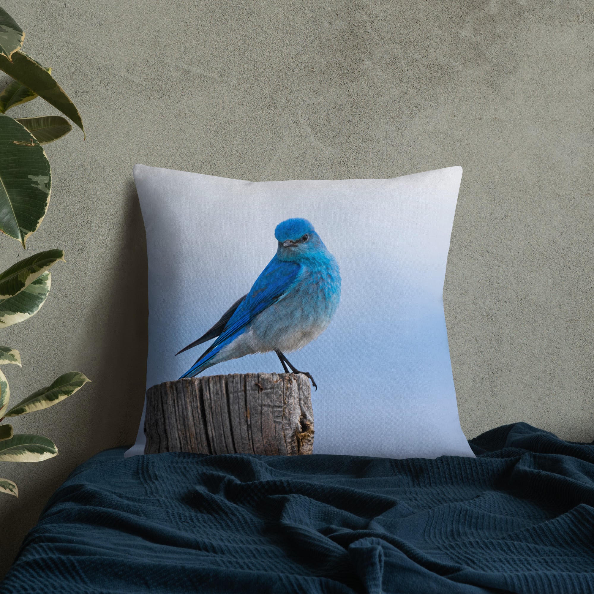 Mountain Bluebird Premium Pillow